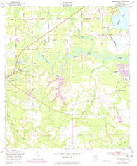 Middleburg Florida Historical topographic map, 1:24000 scale, 7.5 X 7.5 Minute, Year 1949