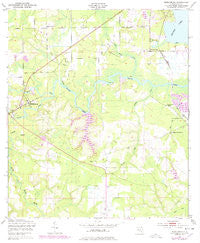 Middleburg Florida Historical topographic map, 1:24000 scale, 7.5 X 7.5 Minute, Year 1949