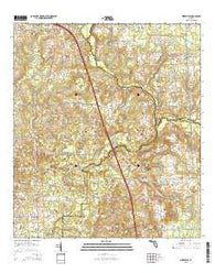 Mikesville Florida Current topographic map, 1:24000 scale, 7.5 X 7.5 Minute, Year 2015
