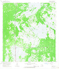 Miles City Florida Historical topographic map, 1:24000 scale, 7.5 X 7.5 Minute, Year 1959
