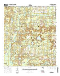 Millers Ferry Florida Current topographic map, 1:24000 scale, 7.5 X 7.5 Minute, Year 2015