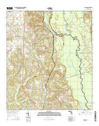 Molino Florida Current topographic map, 1:24000 scale, 7.5 X 7.5 Minute, Year 2015