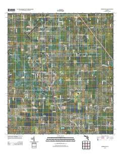 Morriston Florida Historical topographic map, 1:24000 scale, 7.5 X 7.5 Minute, Year 2012