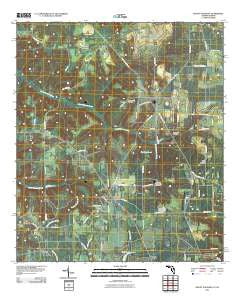 Mount Pleasant Florida Historical topographic map, 1:24000 scale, 7.5 X 7.5 Minute, Year 2011