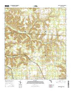 Mount Pleasant Florida Current topographic map, 1:24000 scale, 7.5 X 7.5 Minute, Year 2015