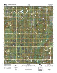 Munson Florida Historical topographic map, 1:24000 scale, 7.5 X 7.5 Minute, Year 2012