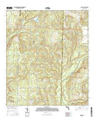 Munson Florida Current topographic map, 1:24000 scale, 7.5 X 7.5 Minute, Year 2015