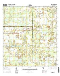 Murdock NE Florida Current topographic map, 1:24000 scale, 7.5 X 7.5 Minute, Year 2015