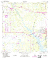 Myakka River Florida Historical topographic map, 1:24000 scale, 7.5 X 7.5 Minute, Year 1973