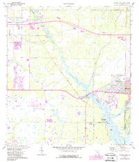 Myakka River Florida Historical topographic map, 1:24000 scale, 7.5 X 7.5 Minute, Year 1973