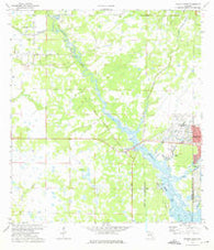 Myakka River Florida Historical topographic map, 1:24000 scale, 7.5 X 7.5 Minute, Year 1973