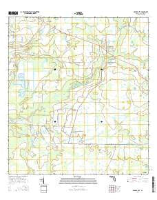 Myakka City Florida Current topographic map, 1:24000 scale, 7.5 X 7.5 Minute, Year 2015