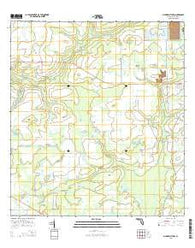 Myakka City NW Florida Current topographic map, 1:24000 scale, 7.5 X 7.5 Minute, Year 2015