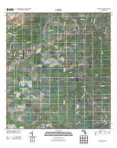 Myakka Head Florida Historical topographic map, 1:24000 scale, 7.5 X 7.5 Minute, Year 2012