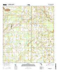 Myakka Head Florida Current topographic map, 1:24000 scale, 7.5 X 7.5 Minute, Year 2015