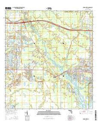 Myakka River Florida Current topographic map, 1:24000 scale, 7.5 X 7.5 Minute, Year 2015