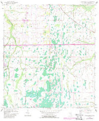 Narcoossee NE Florida Historical topographic map, 1:24000 scale, 7.5 X 7.5 Minute, Year 1953