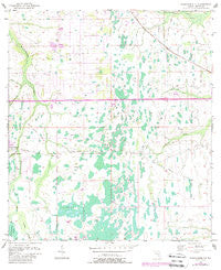 Narcoossee NE Florida Historical topographic map, 1:24000 scale, 7.5 X 7.5 Minute, Year 1953