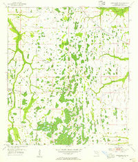 Narcoossee NE Florida Historical topographic map, 1:24000 scale, 7.5 X 7.5 Minute, Year 1953