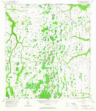 Narcoossee NE Florida Historical topographic map, 1:24000 scale, 7.5 X 7.5 Minute, Year 1953