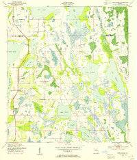 Narcoossee Florida Historical topographic map, 1:24000 scale, 7.5 X 7.5 Minute, Year 1953