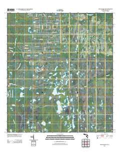 Narcoossee NE Florida Historical topographic map, 1:24000 scale, 7.5 X 7.5 Minute, Year 2012