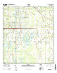 Narcoossee NE Florida Current topographic map, 1:24000 scale, 7.5 X 7.5 Minute, Year 2015
