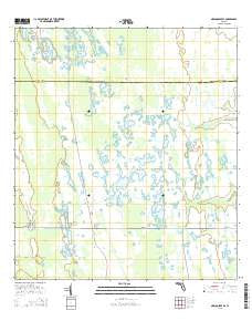 Narcoossee SE Florida Current topographic map, 1:24000 scale, 7.5 X 7.5 Minute, Year 2015
