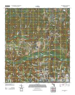 New Harmony Florida Historical topographic map, 1:24000 scale, 7.5 X 7.5 Minute, Year 2012