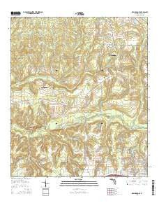 New Harmony Florida Current topographic map, 1:24000 scale, 7.5 X 7.5 Minute, Year 2015