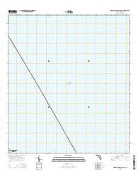 New Smyrna Beach OE E Florida Current topographic map, 1:24000 scale, 7.5 X 7.5 Minute, Year 2015
