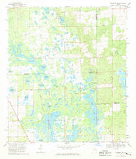 Newberry SW Florida Historical topographic map, 1:24000 scale, 7.5 X 7.5 Minute, Year 1968