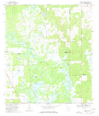 Newberry SW Florida Historical topographic map, 1:24000 scale, 7.5 X 7.5 Minute, Year 1968