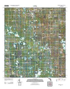 Newberry SW Florida Historical topographic map, 1:24000 scale, 7.5 X 7.5 Minute, Year 2012