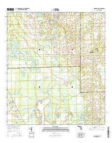 Newberry SW Florida Current topographic map, 1:24000 scale, 7.5 X 7.5 Minute, Year 2015