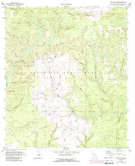 Niceville SE Florida Historical topographic map, 1:24000 scale, 7.5 X 7.5 Minute, Year 1970