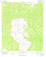 Niceville SE Florida Historical topographic map, 1:24000 scale, 7.5 X 7.5 Minute, Year 1970