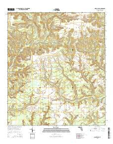 Niceville SE Florida Current topographic map, 1:24000 scale, 7.5 X 7.5 Minute, Year 2015