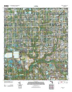 Nichols Florida Historical topographic map, 1:24000 scale, 7.5 X 7.5 Minute, Year 2012
