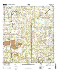 Nichols Florida Current topographic map, 1:24000 scale, 7.5 X 7.5 Minute, Year 2015
