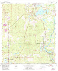 Nobleton Florida Historical topographic map, 1:24000 scale, 7.5 X 7.5 Minute, Year 1954
