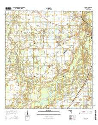 Nocatee Florida Current topographic map, 1:24000 scale, 7.5 X 7.5 Minute, Year 2015