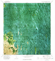 North Of Fortymile Bend Florida Historical topographic map, 1:24000 scale, 7.5 X 7.5 Minute, Year 1973