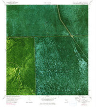 North Of Lone Palm Head Florida Historical topographic map, 1:24000 scale, 7.5 X 7.5 Minute, Year 1974