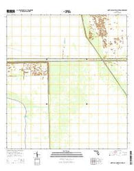 North of Lone Palm Head Florida Current topographic map, 1:24000 scale, 7.5 X 7.5 Minute, Year 2015