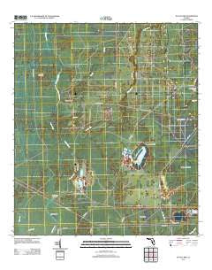 Nutall Rise Florida Historical topographic map, 1:24000 scale, 7.5 X 7.5 Minute, Year 2012