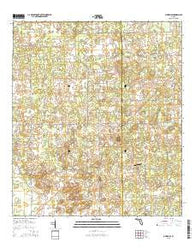 O'Brien SE Florida Current topographic map, 1:24000 scale, 7.5 X 7.5 Minute, Year 2015