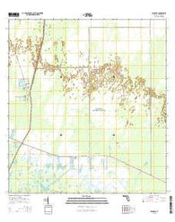 Ochopee Florida Current topographic map, 1:24000 scale, 7.5 X 7.5 Minute, Year 2015