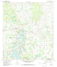 Odessa Florida Historical topographic map, 1:24000 scale, 7.5 X 7.5 Minute, Year 1974