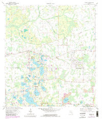 Odessa Florida Historical topographic map, 1:24000 scale, 7.5 X 7.5 Minute, Year 1974